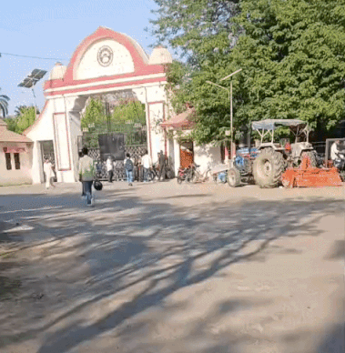 21 अप्रैल से शुरू होंगी बीएड, एमएड और बीपीएड की परीक्षाएं, 2 मई से फार्मेसी की परीक्षाएं 