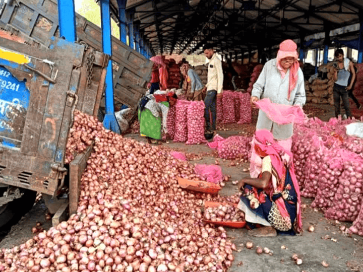 निर्यात में करीब 30% तक गिरावट,  शिपिंग लागत में बढ़ोतरी