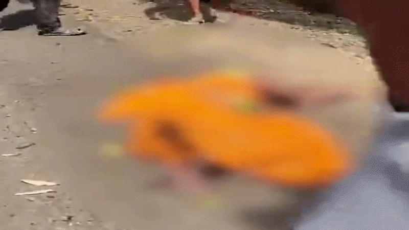 चार की मौत; 25 घायल, कई घायलों की हालत गंभीर
