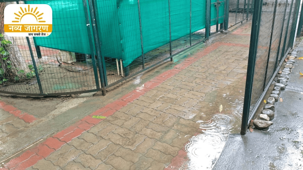 बादलों ने दिलाई गर्मी से राहत, 1 जुलाई को मौसम विभाग का अलर्ट 