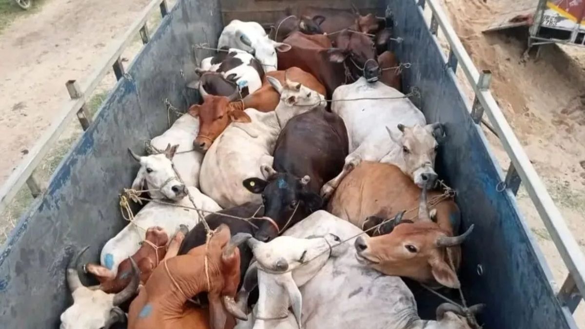तमिलनाडु सरकार की याचिका पर नोटिस जारी, हाईकोर्ट के आदेश में संशोधन की आवश्यकता